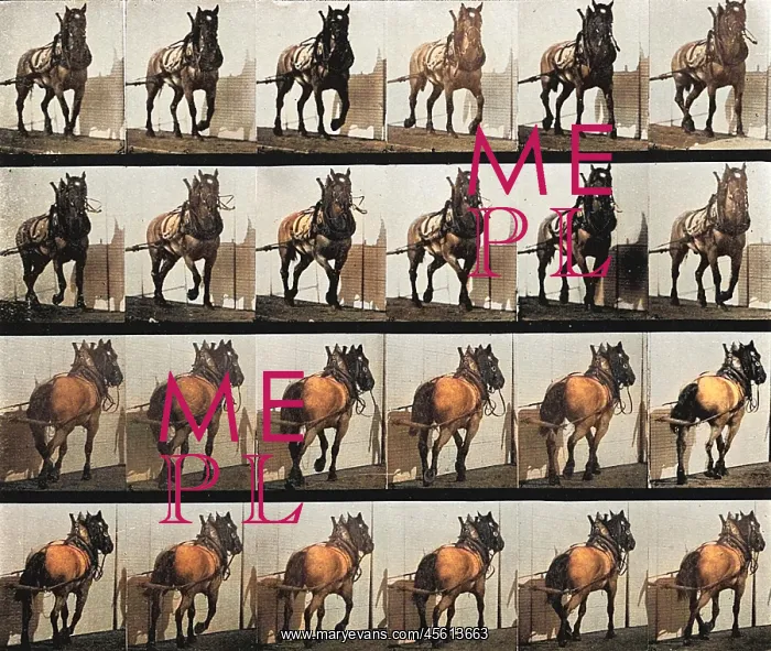 : MUYBRIDGE - CART HORSE : MUYBRIDGE - CART HORSE