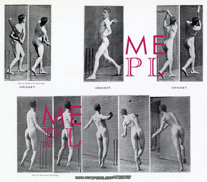  : Muybridge - Cricket