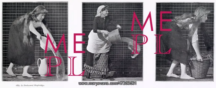 : Muybridge - Emptying : Muybridge - Emptying