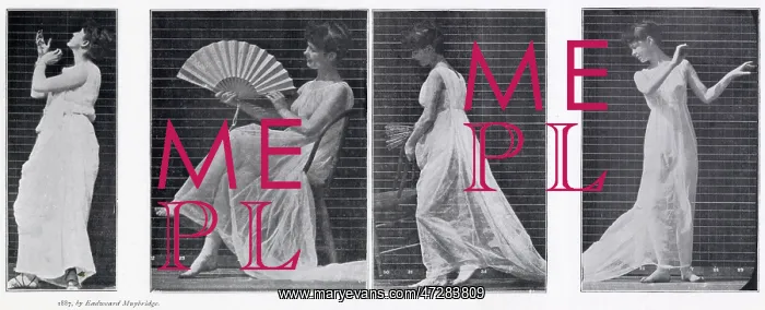 : MUYBRIDGE - WITH FAN : MUYBRIDGE - WITH FAN