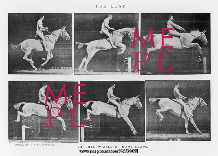  : MUYBRIDGE - HORSE LEAP