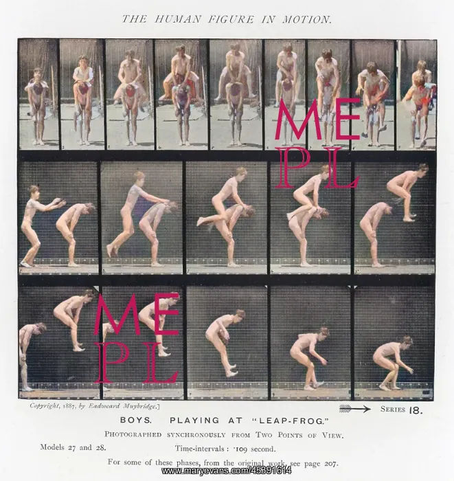 : Muybridge - Leapfrog 1 : Muybridge - Leapfrog 1