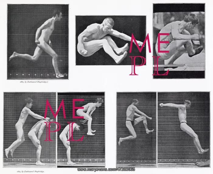: Muybridge - Leapfrog 2 : Muybridge - Leapfrog 2