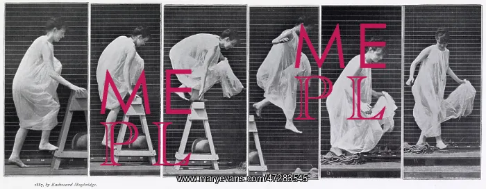 : Muybridge -Obstacle : Muybridge -Obstacle
