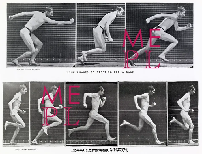  : Muybridge - Running