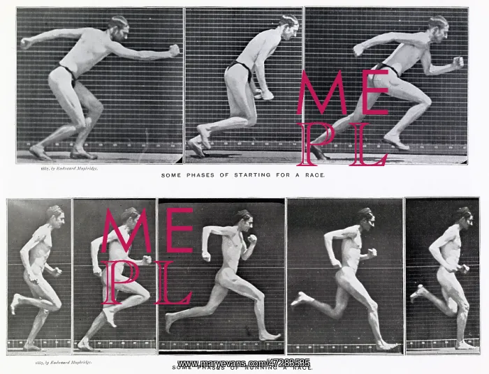  : Muybridge - Running