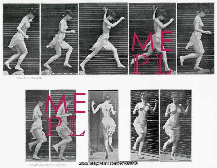  : Muybridge - Running