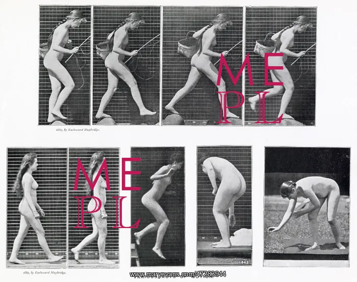  : Muybridge - Stepping Stone