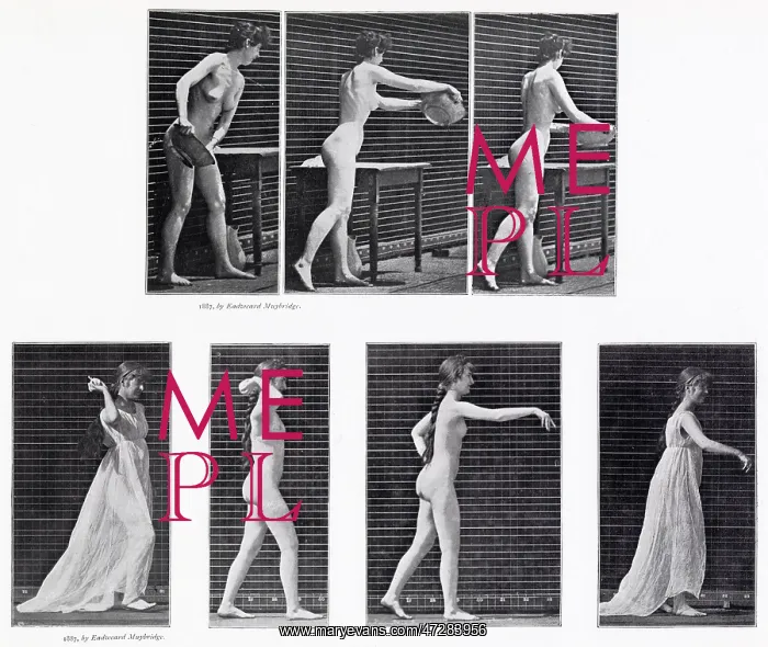  : Muybridge - Throwing