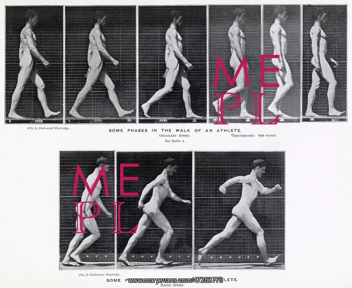  : Muybridge - Walk and Run