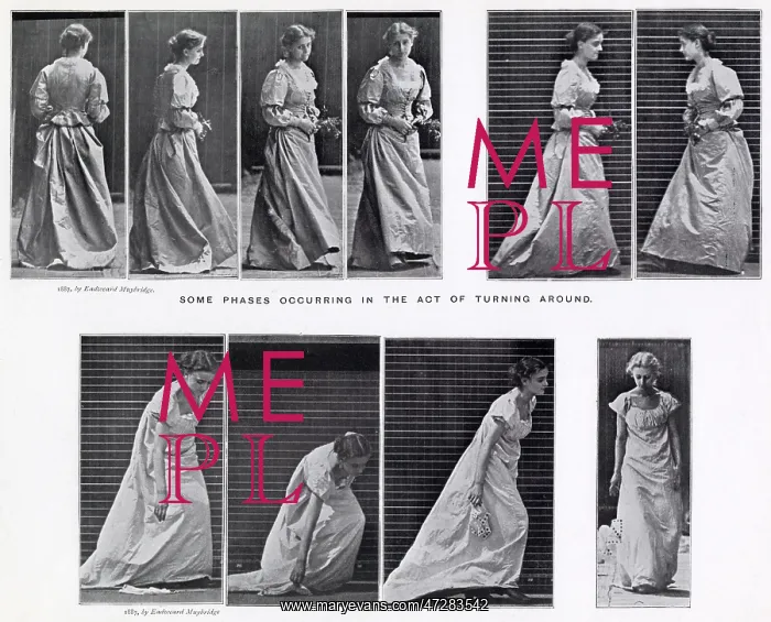 : Muybridge - Walking : Muybridge - Walking