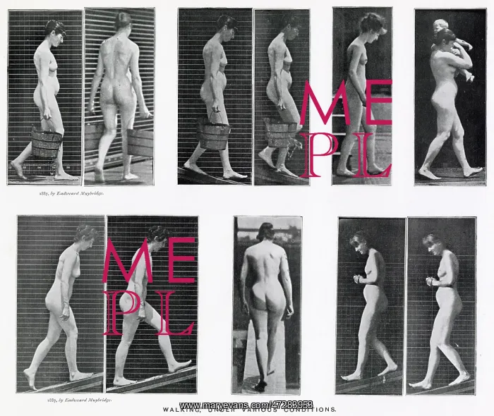 : Muybridge - Walking : Muybridge - Walking