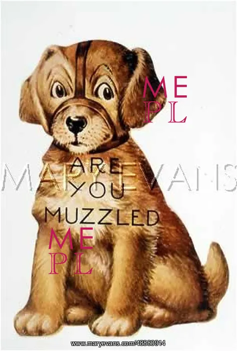  : ARE YOU MUZZLED ?