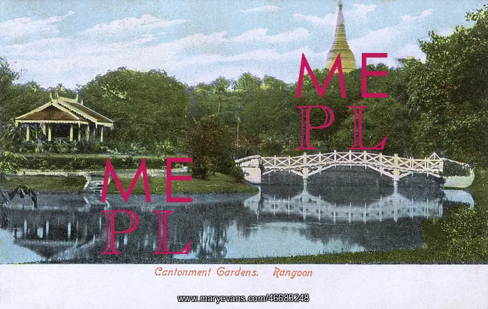 : Myanmar - Yangon - Cantonment Gardens : Myanmar - Yangon - Cantonment Gardens