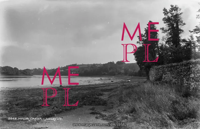 : Mylor Creek : Mylor Creek