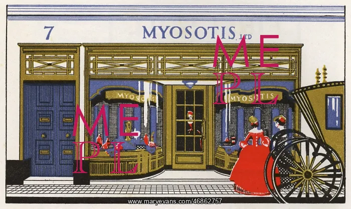 : Myosotis advertisement : Myosotis advertisement