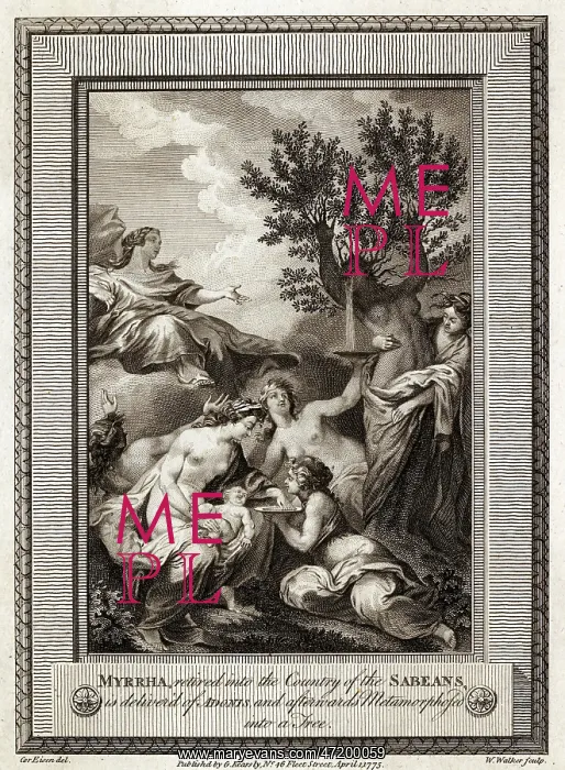 : MYRRHA BECOMES A TREE : MYRRHA BECOMES A TREE