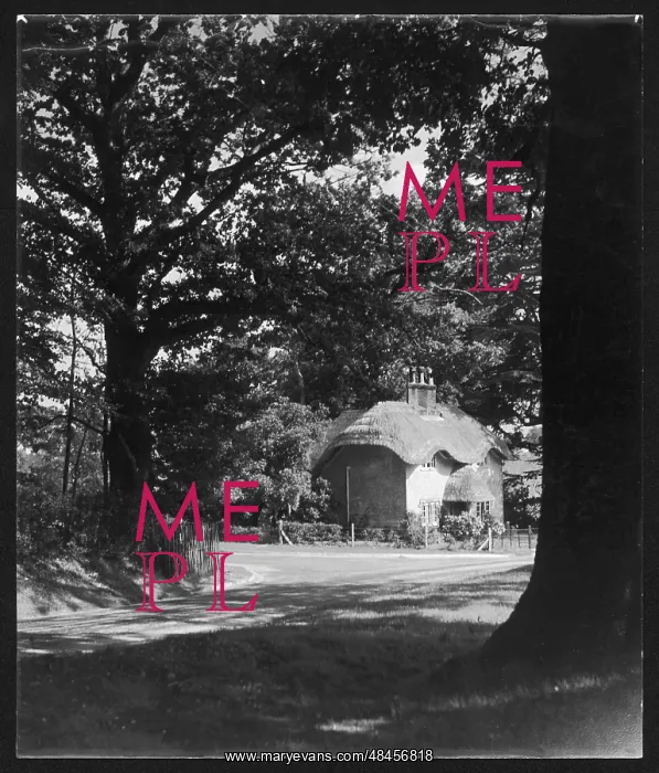 : MYSTERIOUS COTTAGE : MYSTERIOUS COTTAGE