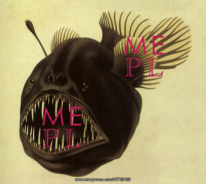  : Mysterious Fish