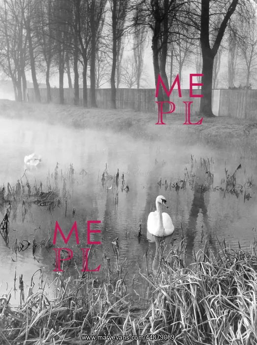 : Mysterious Waters : Mysterious Waters