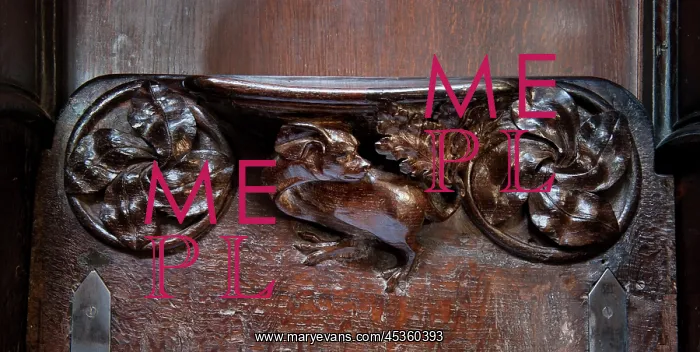 : Mythical beast DP : Mythical beast DP