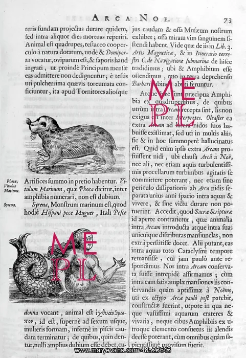 : Mythical beasts, from Arca Noe, (building the : Mythical beasts, from Arca Noe, (building the