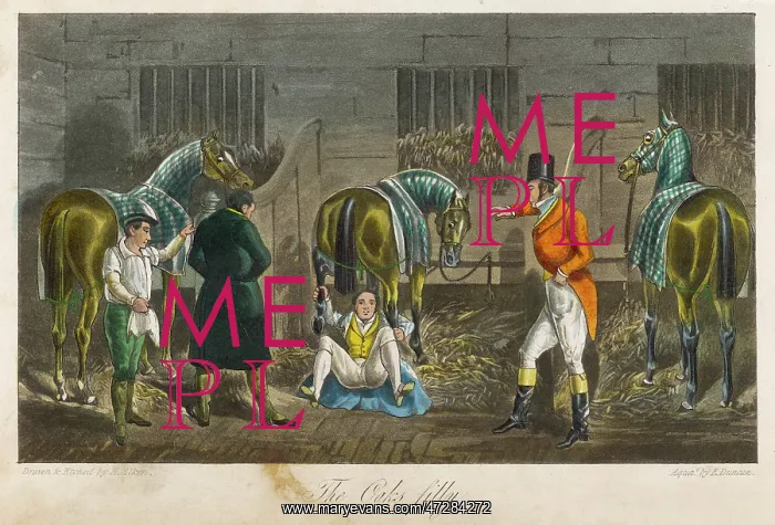: MYTTON IN STABLE : MYTTON IN STABLE