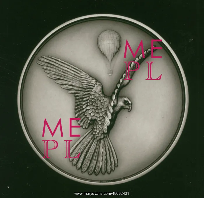 : N E Rowe Medal : N E Rowe Medal