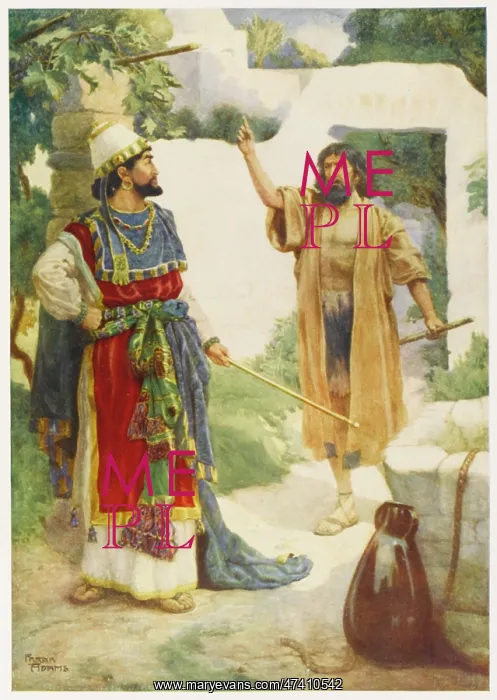 : NABOTH'S VINEYARD : NABOTH'S VINEYARD
