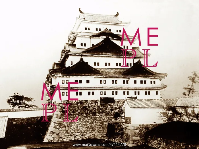  : Nagoya Castle, Japan