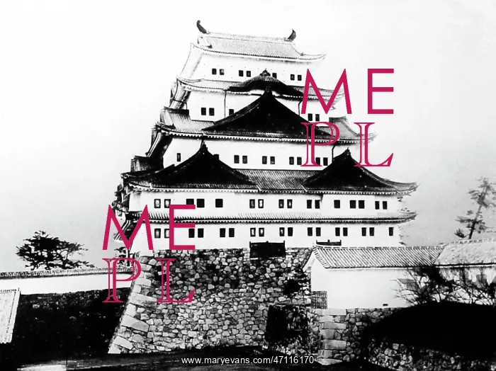  : Nagoya Castle, Japan