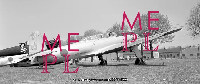 : Nakajima C6N Saiun : Nakajima C6N Saiun