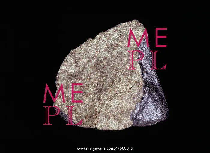 : The Nakhla meteorite : The Nakhla meteorite