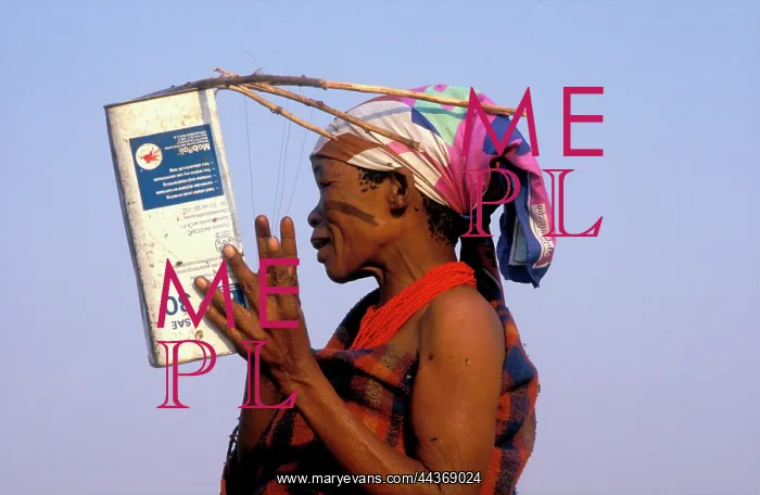 : Namibia, 1997: Bushman playing a Gaivasche traditional : Namibia, 1997: Bushman playing a Gaivasche traditional