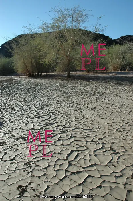 : Namibia, Brandberg 2005: Dried river bed. cracked mud : Namibia, Brandberg 2005: Dried river bed. cracked mud
