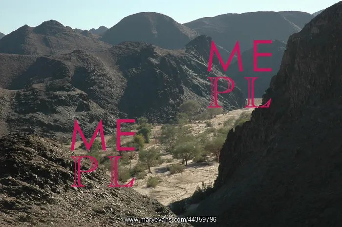 : Namibia, Brandberg 2005: Dried river bed. drought : Namibia, Brandberg 2005: Dried river bed. drought