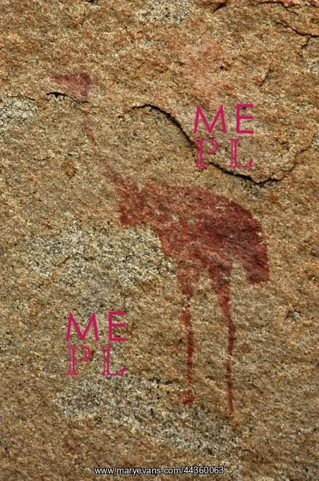 : Namibia, Erongo Mountains, 2005: San / Bushman paintings : Namibia, Erongo Mountains, 2005: San / Bushman paintings