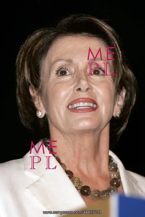 : Nancy Pelosi : Nancy Pelosi