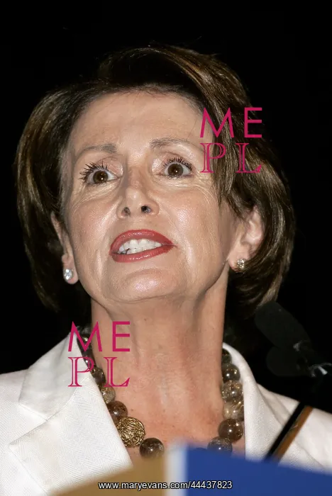 : Nancy Pelosi : Nancy Pelosi