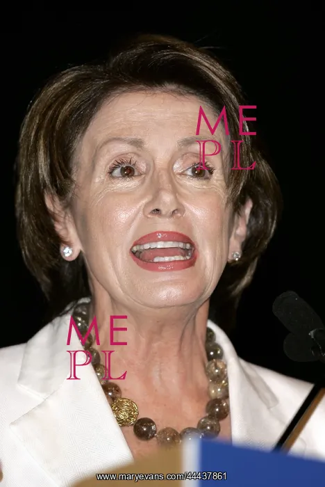 : Nancy Pelosi : Nancy Pelosi