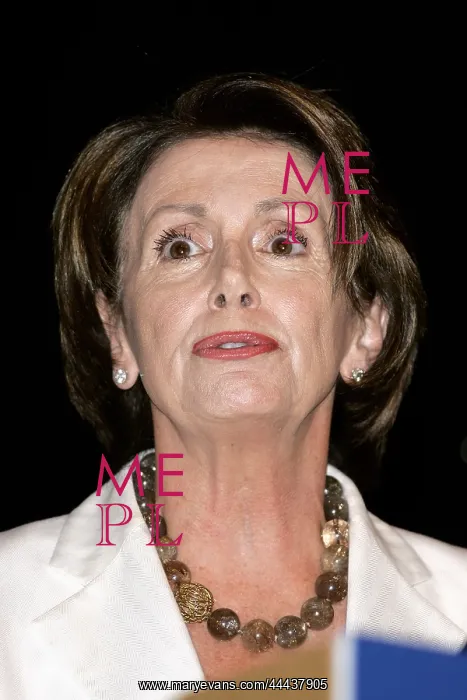 : Nancy Pelosi : Nancy Pelosi