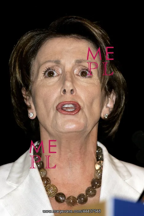 : Nancy Pelosi : Nancy Pelosi