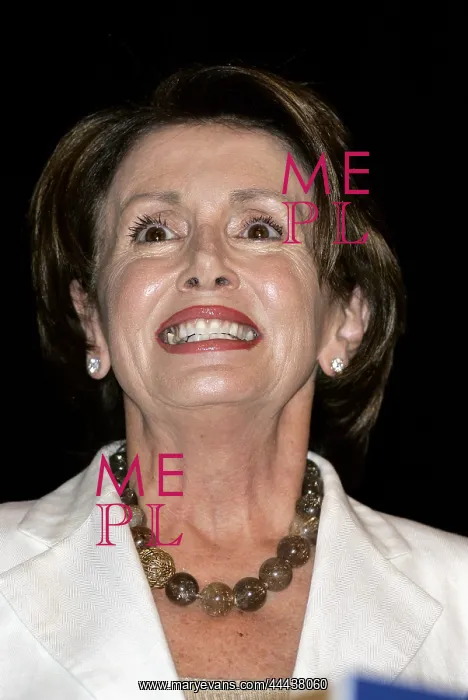: Nancy Pelosi : Nancy Pelosi