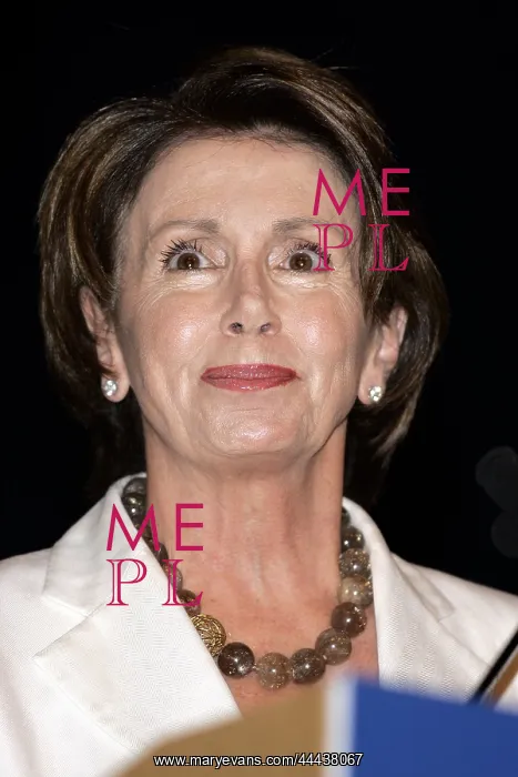 : Nancy Pelosi : Nancy Pelosi