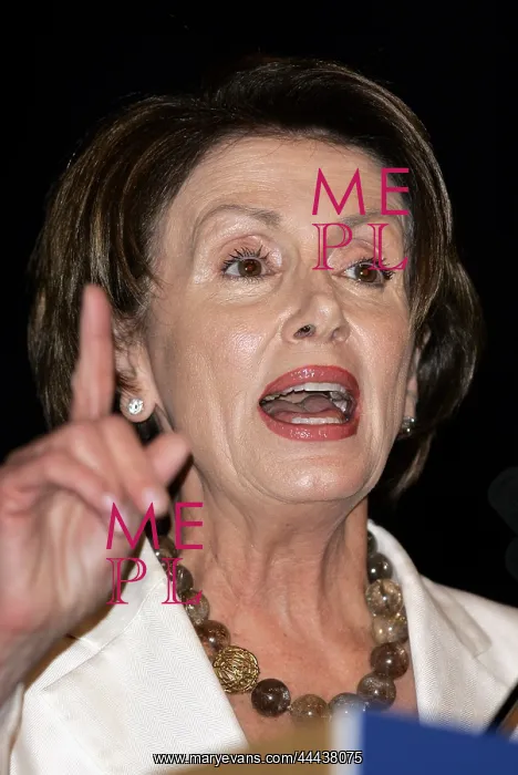 : Nancy Pelosi : Nancy Pelosi