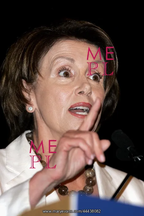 : Nancy Pelosi : Nancy Pelosi