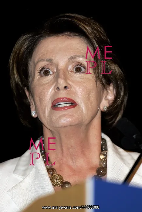 : Nancy Pelosi : Nancy Pelosi