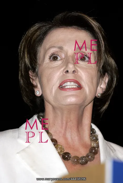 : Nancy Pelosi : Nancy Pelosi