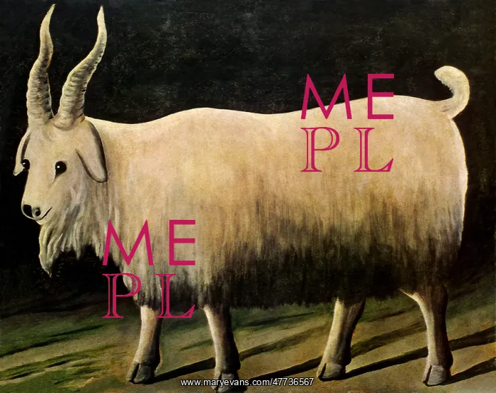  : Nanny Goat