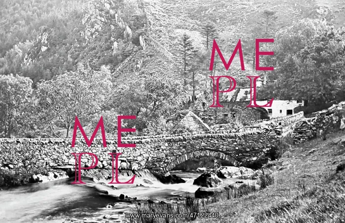  : Nant Mill, Wales